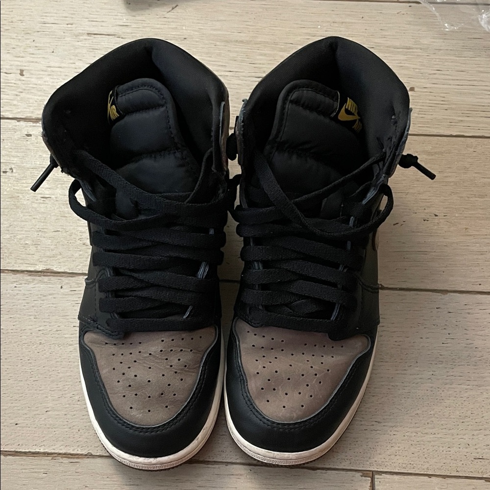Palamino Jordan 1